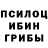 Псилоцибиновые грибы Cubensis Nelson Rosa