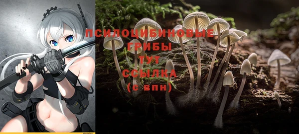 ПСИЛОЦИБИНОВЫЕ ГРИБЫ Абинск