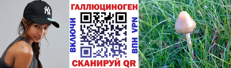 продажа наркотиков  Миллерово  Галлюциногенные грибы Magic Shrooms 